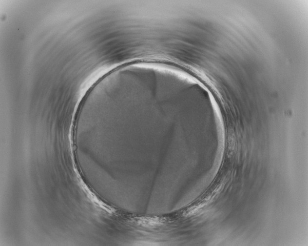 X0000087020959200705141853