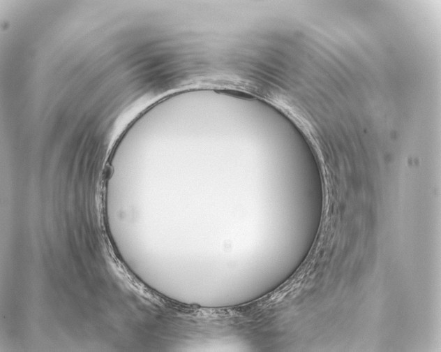 X0000087020960200705141853