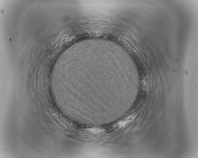 X0000087020961200705141852