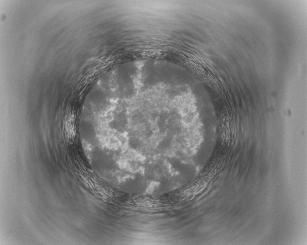 X0000087020962200705141852