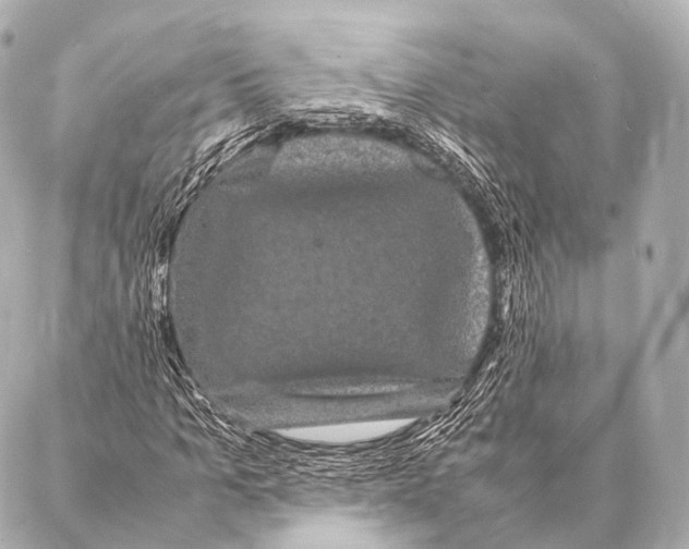 X0000087020965200705141852