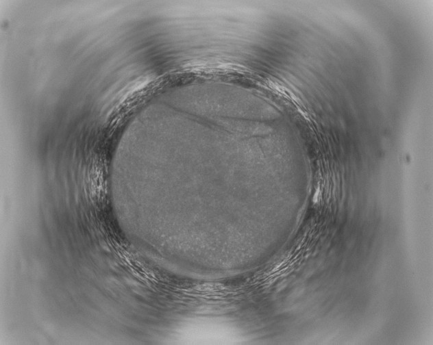 X0000087020966200705141852