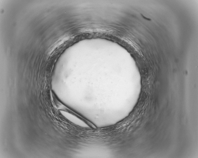 X0000087020967200705141852