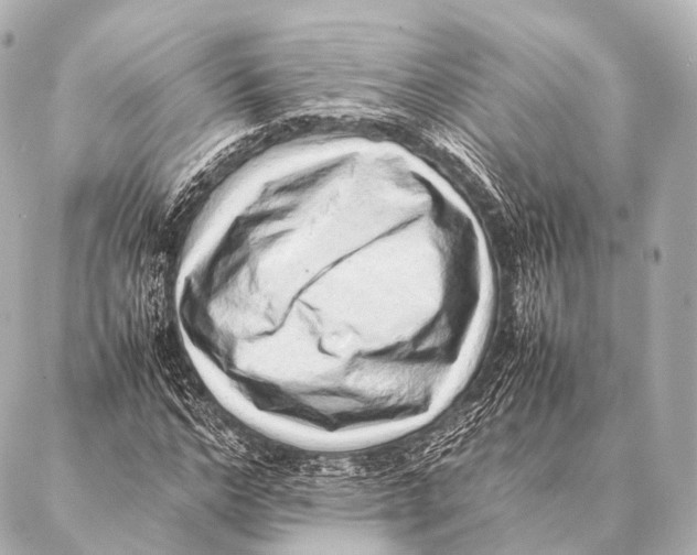 X0000087020968200705141852