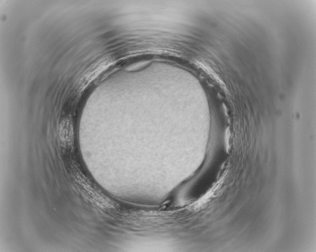 X0000087020969200705141852