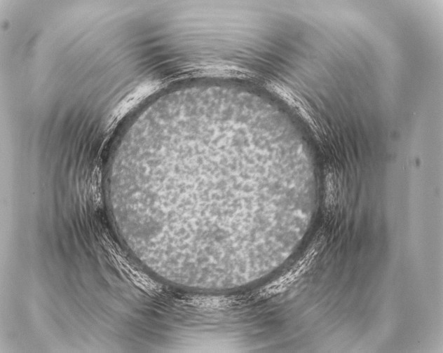 X0000087020970200705141852