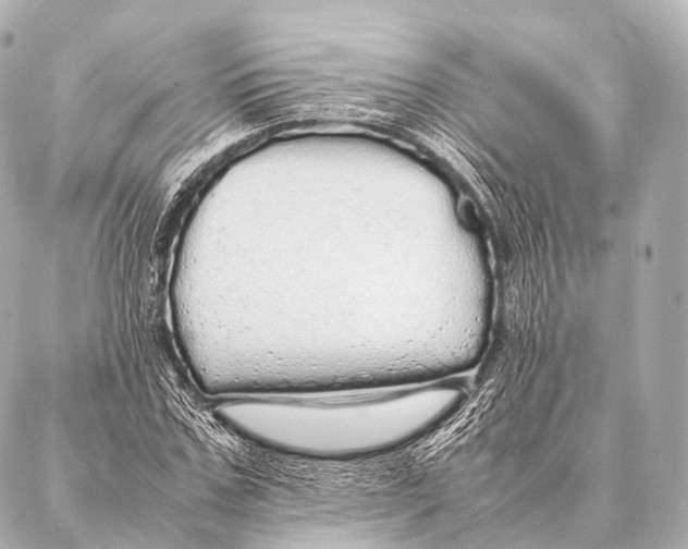 X0000087020971200705141852