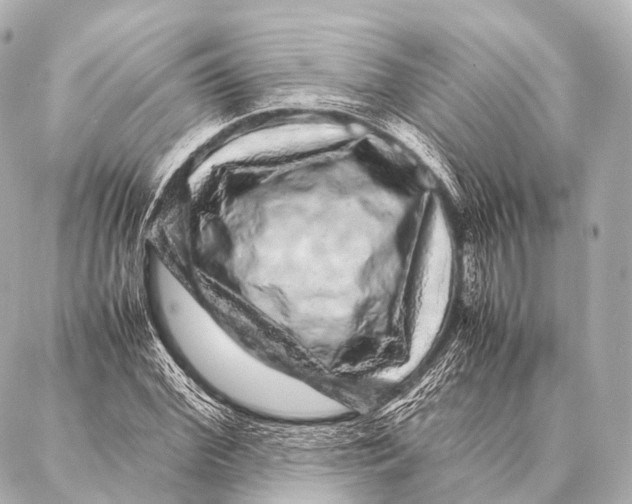 X0000087020972200705141852