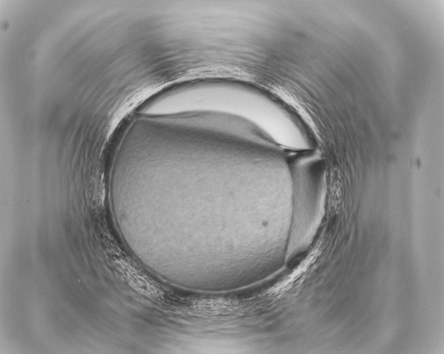 X0000087020973200705141852