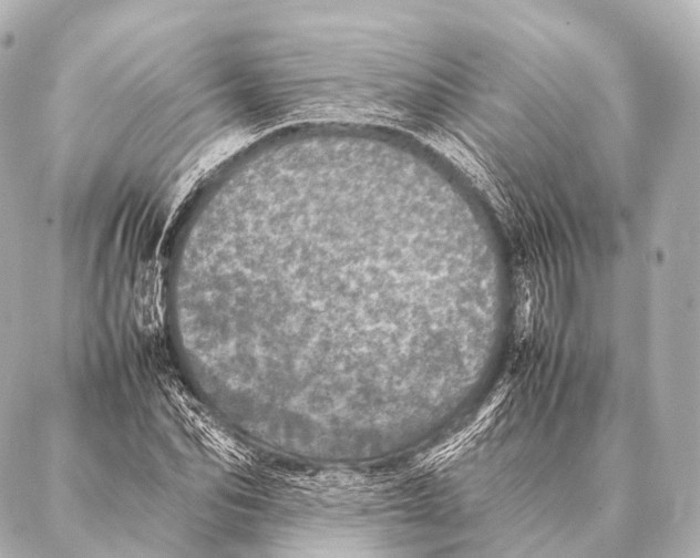 X0000087020974200705141852