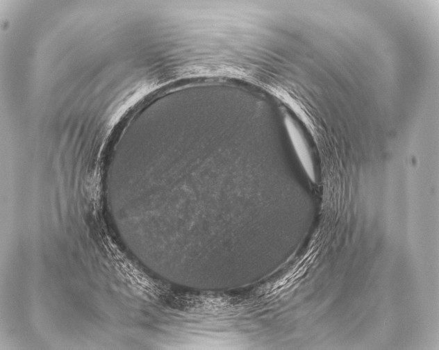 X0000087020975200705141852