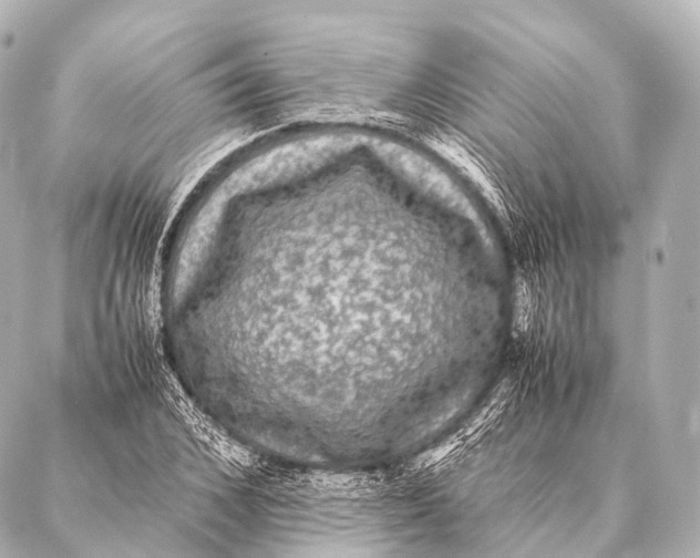 X0000087020976200705141852