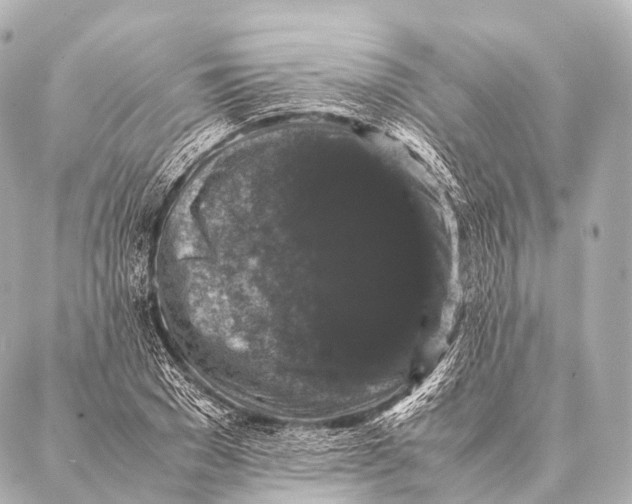 X0000087020977200705141852