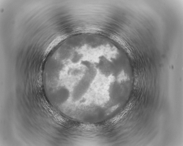 X0000087020978200705141852