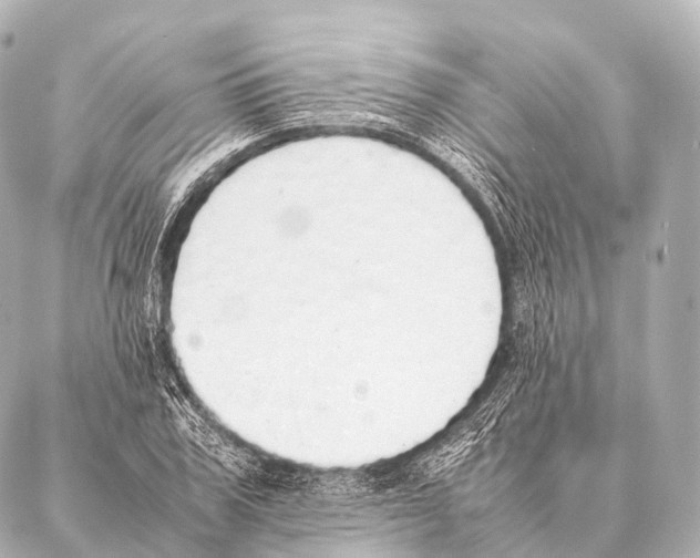 X0000087020979200705141852