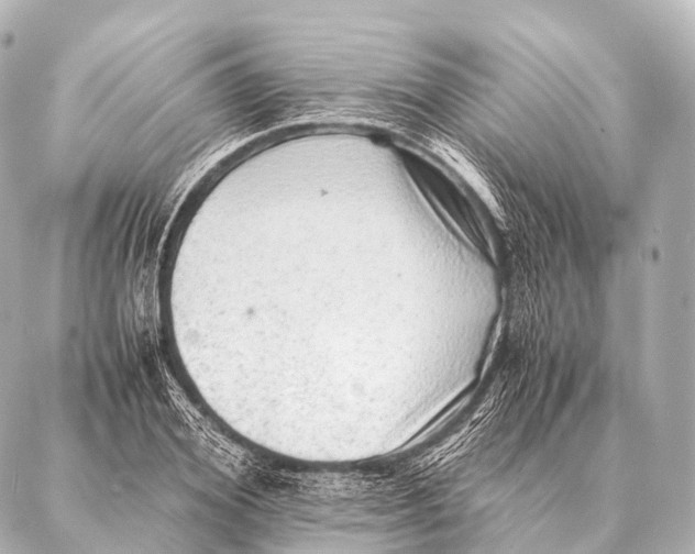 X0000087020980200705141852