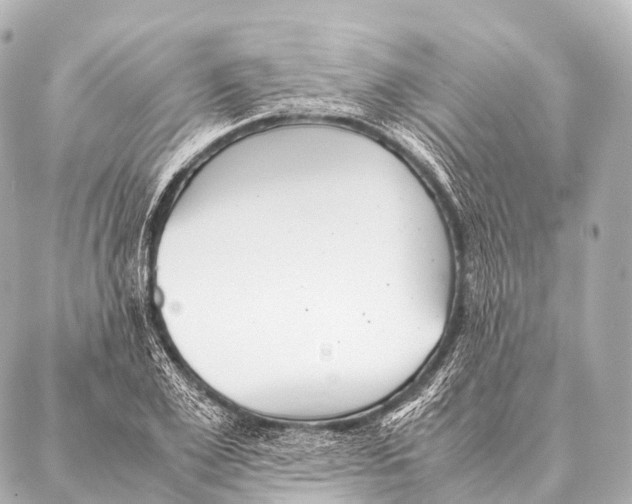 X0000087020981200705141852