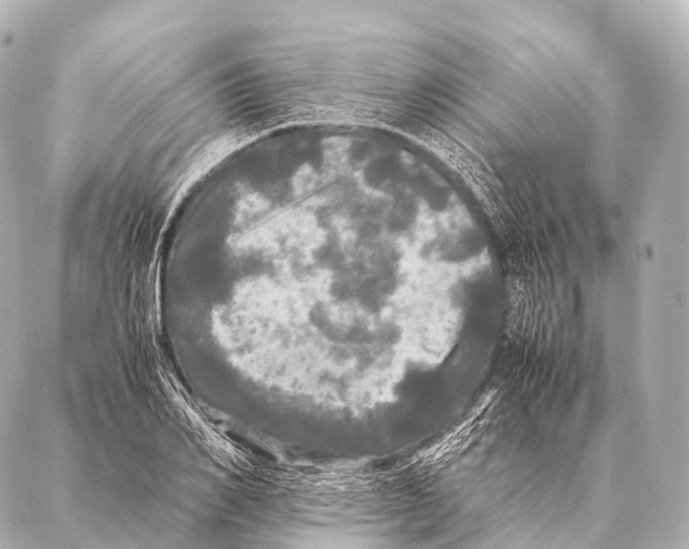 X0000087020982200705141852