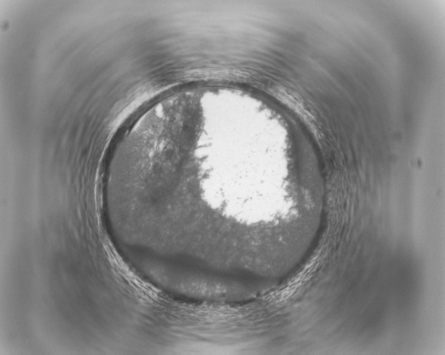 X0000087020983200705141852