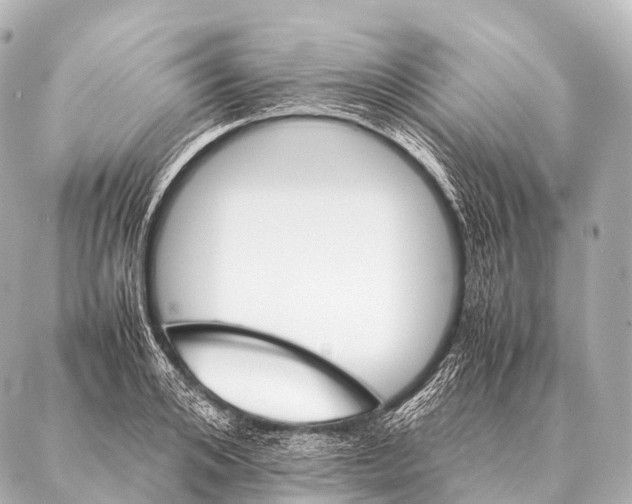 X0000087020984200705141852