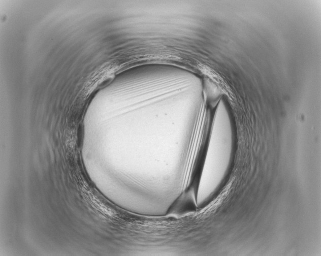 X0000087020985200705141852