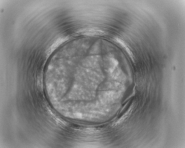 X0000087020986200705141852