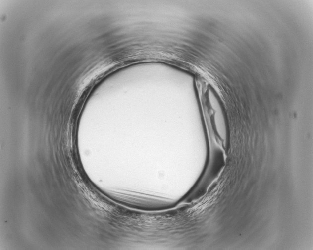 X0000087020987200705141852