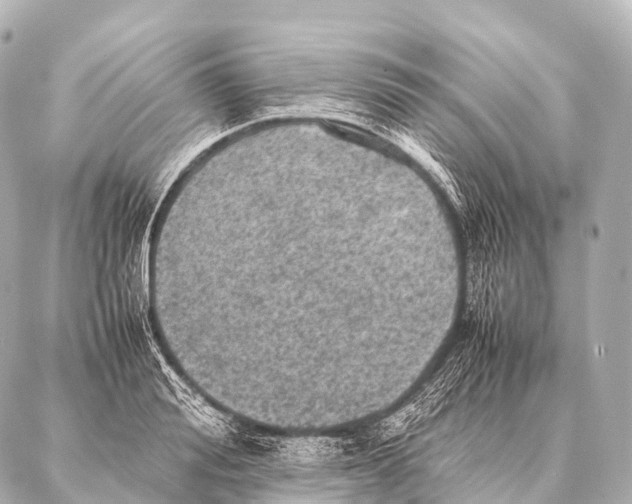 X0000087020988200705141852