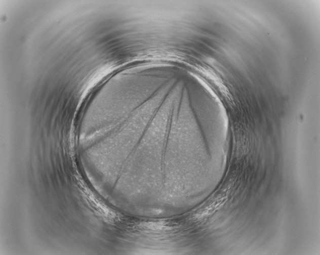 X0000087020990200705141852