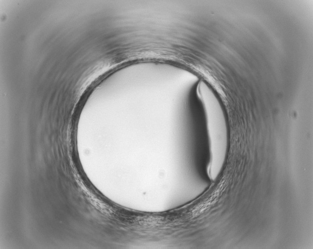 X0000087020991200705141852