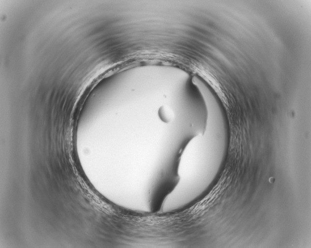 X0000087020992200705141852