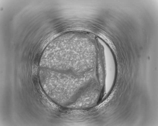 X0000087020993200705141852