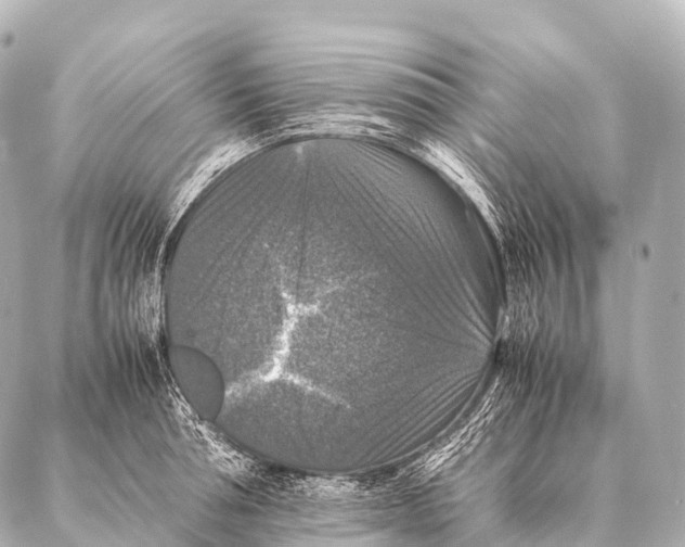 X0000087020994200705141852