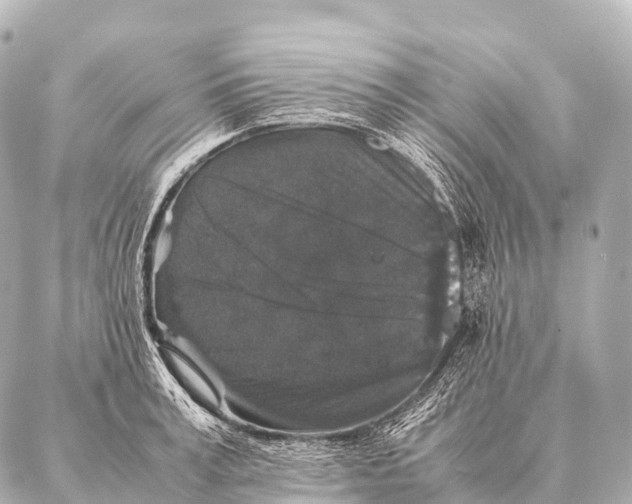 X0000087020995200705141852