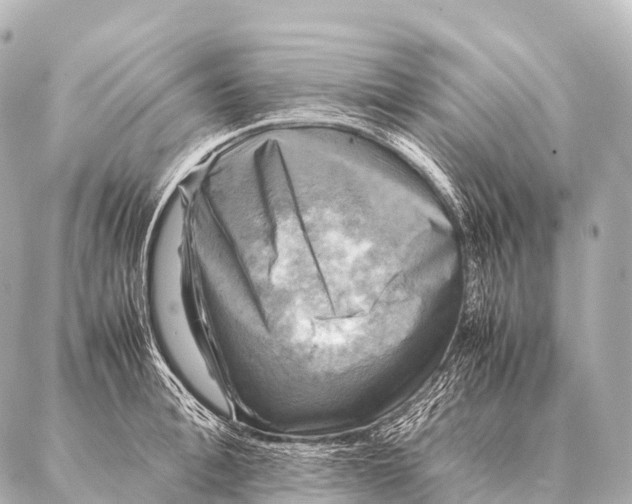 X0000087020996200705141852