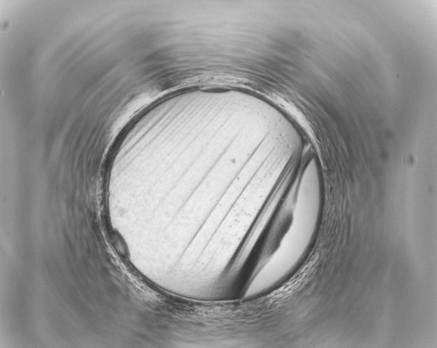 X0000087020997200705141852