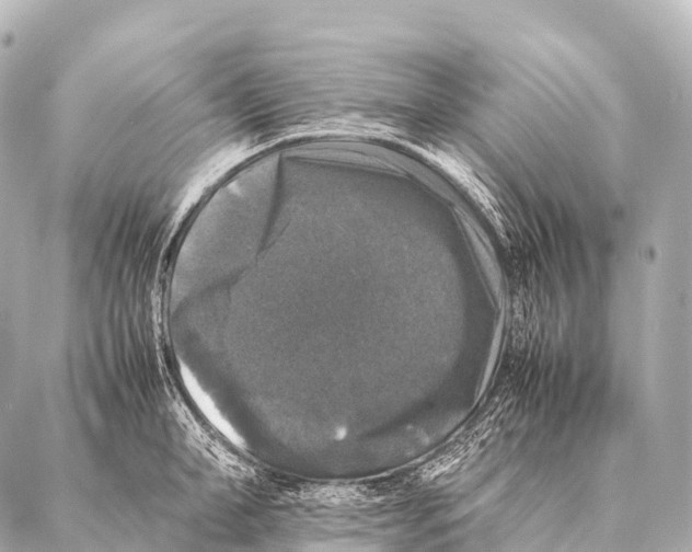 X0000087020998200705141852