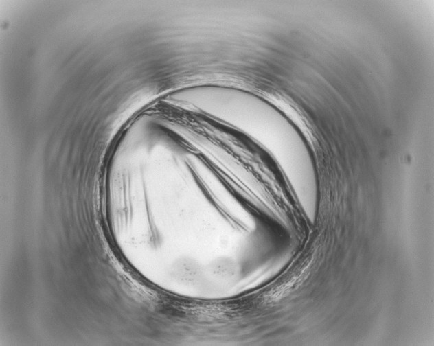 X0000087020999200705141852