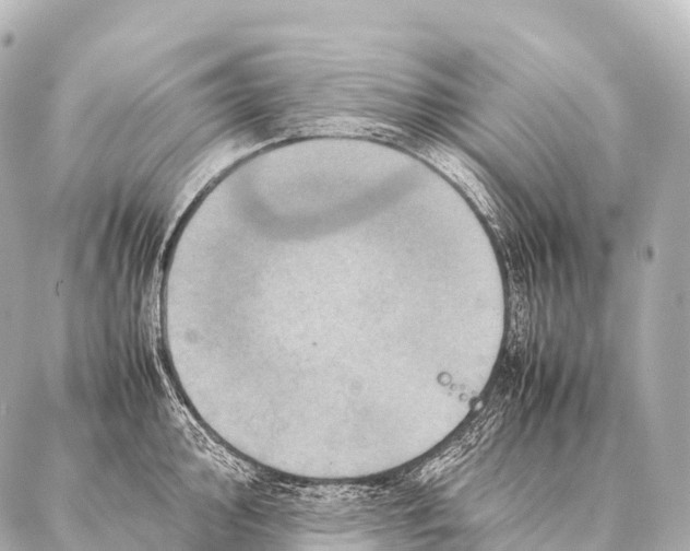 X0000087021000200705141852