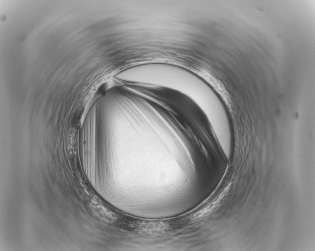 X0000087021001200705141852