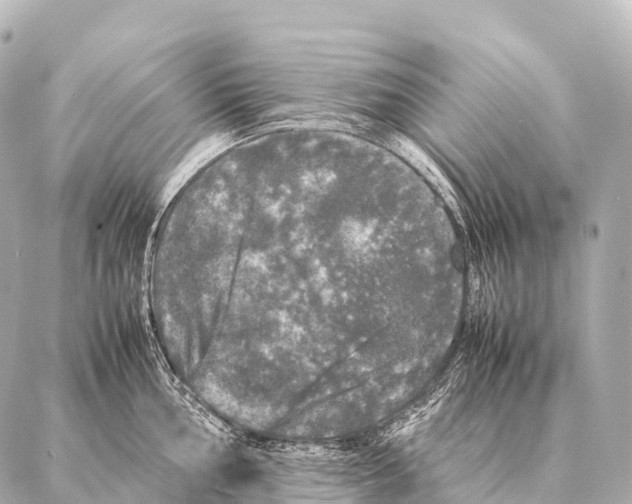 X0000087021002200705141852