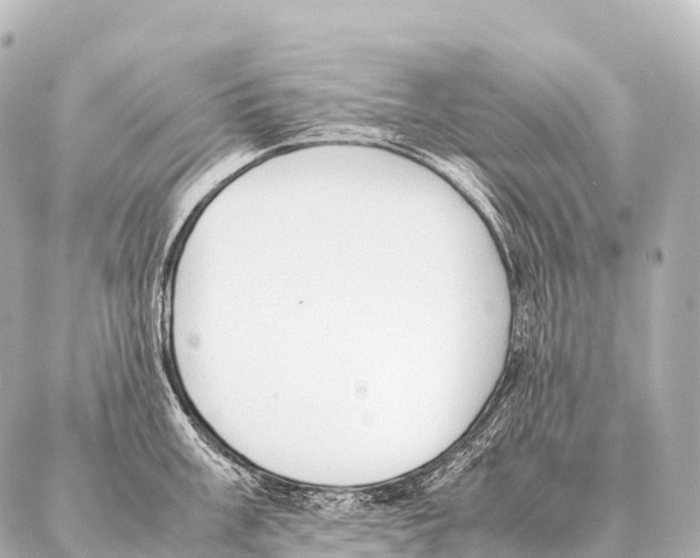 X0000087021003200705141852