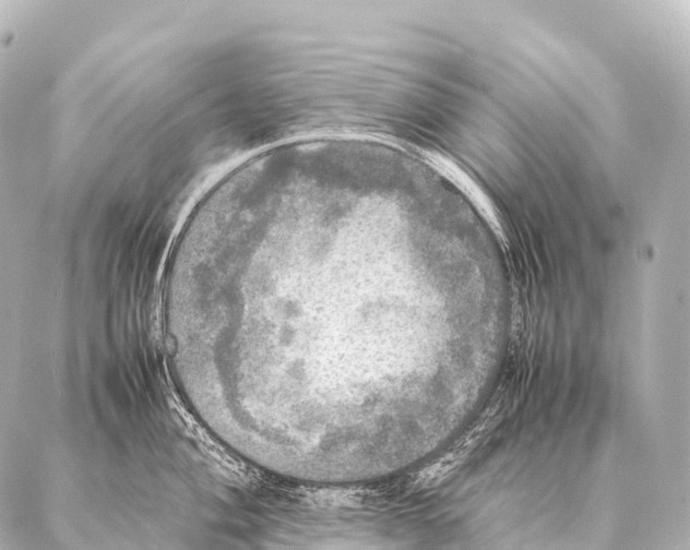 X0000087021004200705141852