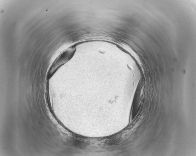 X0000087021005200705141852