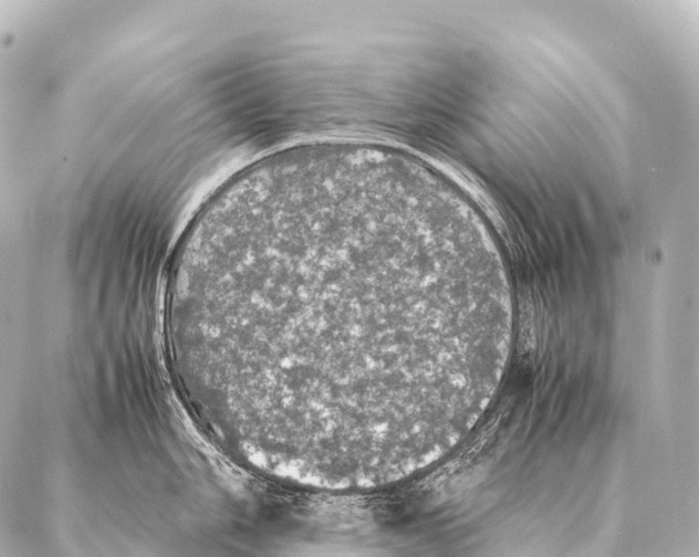 X0000087021006200705141852