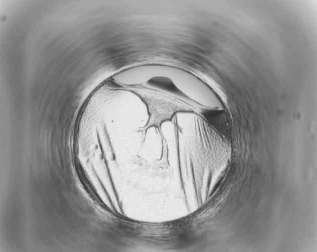 X0000087021007200705141852