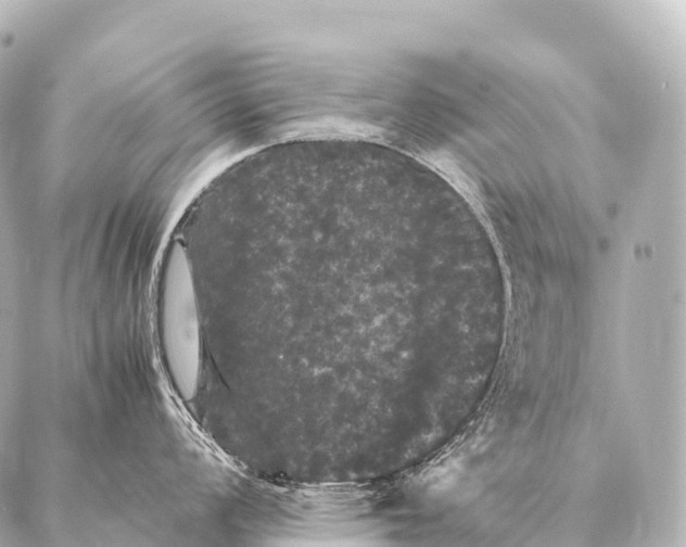 X0000087021008200705141852