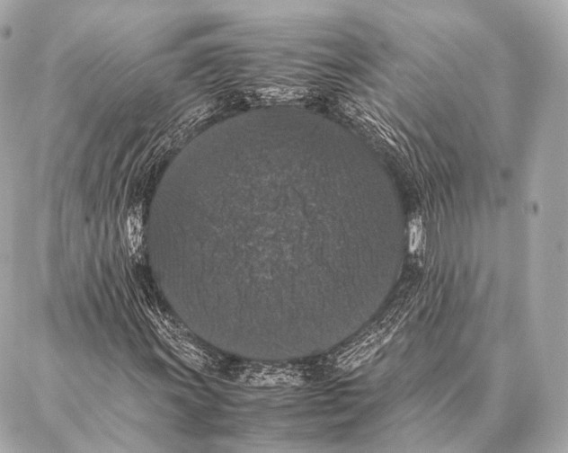 X0000087021011200705141851