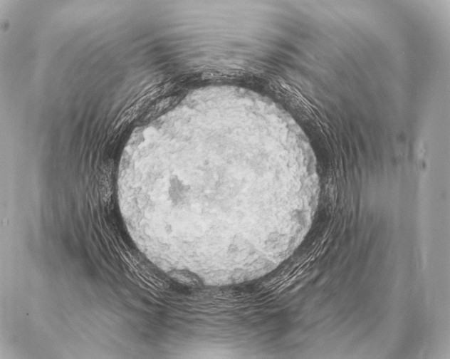 X0000087021012200705141851