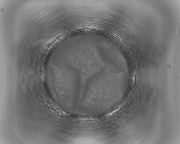 X0000087021014200705141851